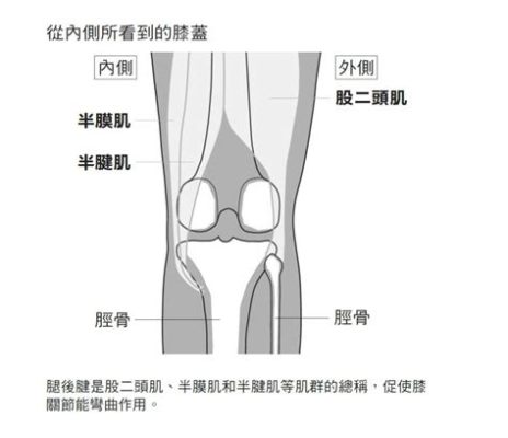 登山膝蓋疼怎麼辦？運動後膝蓋疼痛，是否與訓練方法或鞋類選擇有關？