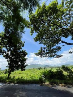 錦繡田園風景如何，是否能在都市中找到一片寧靜？